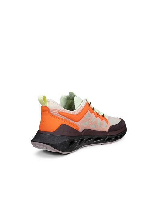 Ecco Multicolor Biom 720 Breathru