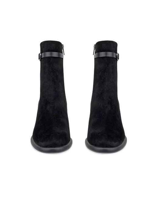 Ecco Black Sculpted Lx 55