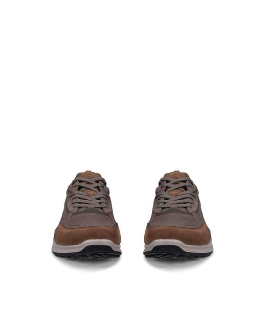 Ecco Brown Biom Energi for men