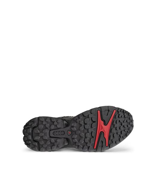 Ecco Black Cg Receptor Xp for men