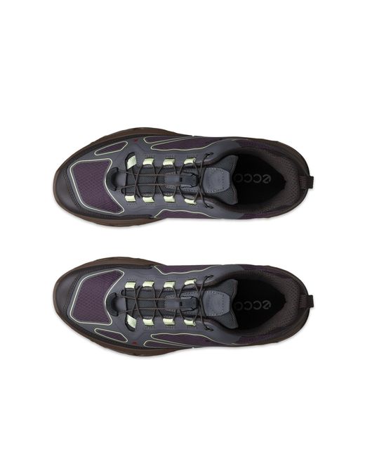 Ecco Gray Receptor Xp