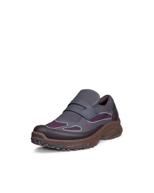 Ecco Gray Receptor Xp