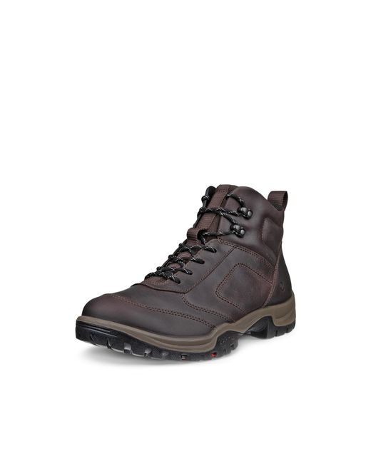 Ecco Brown Xpedition Iii for men