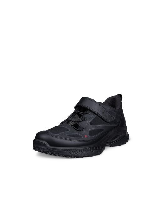 Ecco Black Receptor Xp