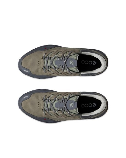 Ecco Gray Receptor Xp for men