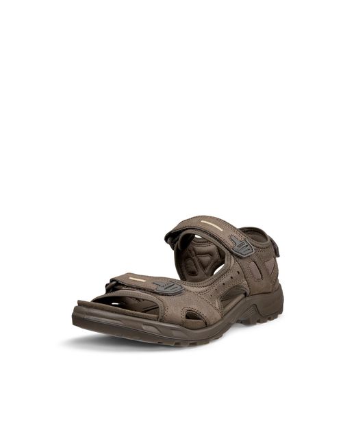 Ecco Brown Offroad for men