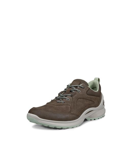 Ecco Brown Biom Energi