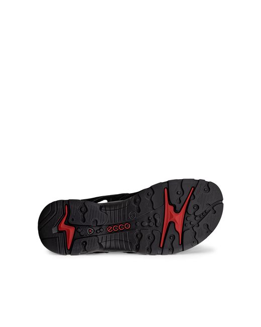 Ecco Black Offroad