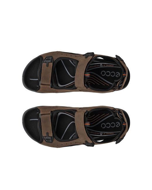 Ecco Offroad in Brown für Herren