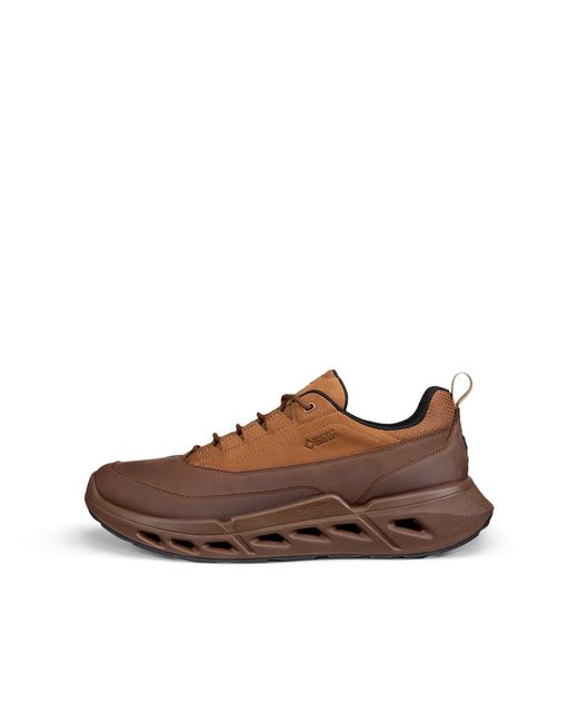 Ecco Brown Biom 720 for men
