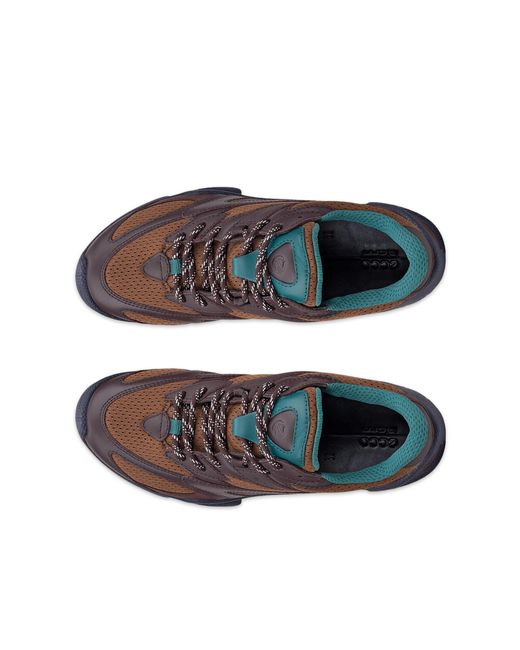 Ecco Brown Biom C-Trail