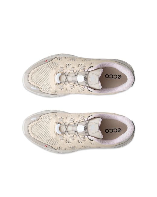 Ecco White Receptor Xp