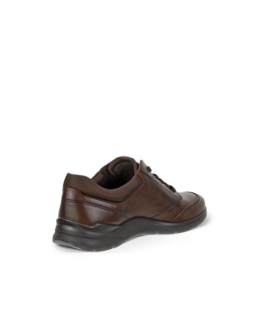 Ecco Brown Irving for men