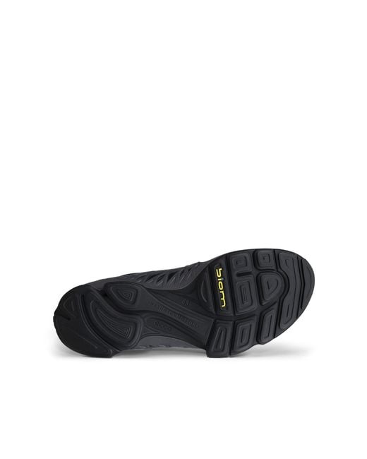 Ecco Blue Biom Aex for men