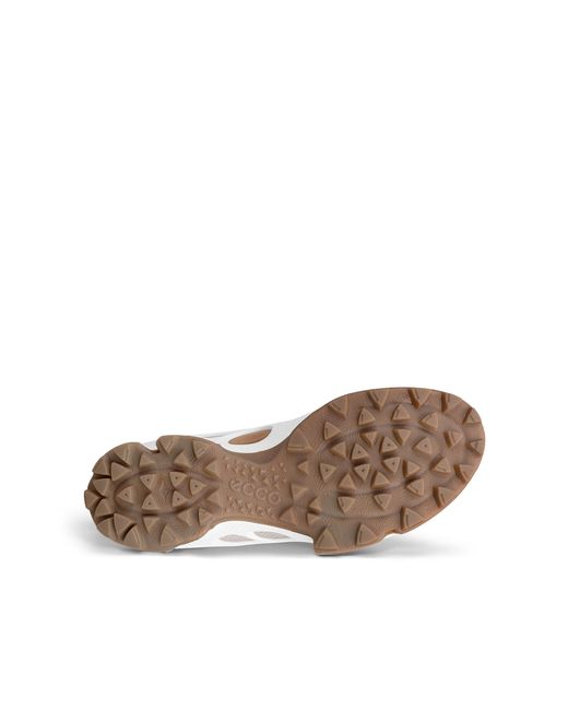 Ecco Brown Biom C-Trail for men