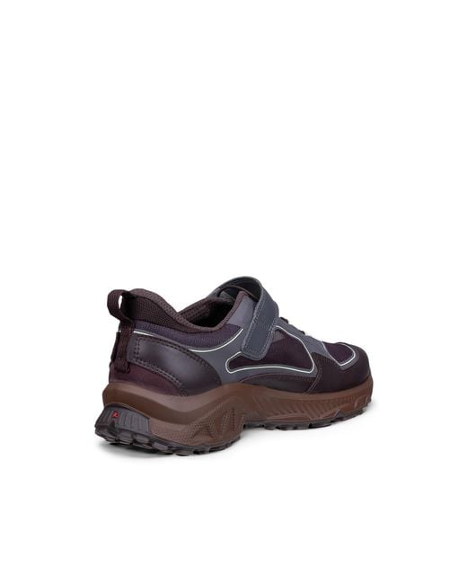 Ecco Gray Receptor Xp