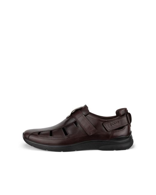 Ecco Brown Irving for men