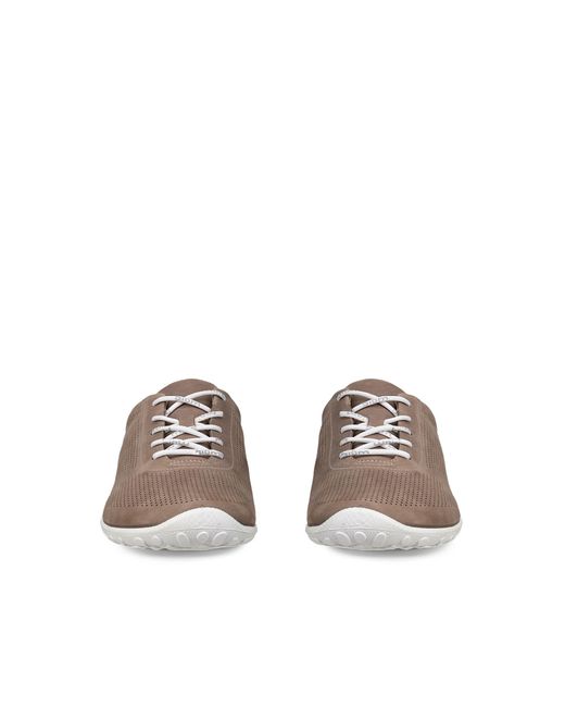 Ecco Brown Biom Lite M Lace for men
