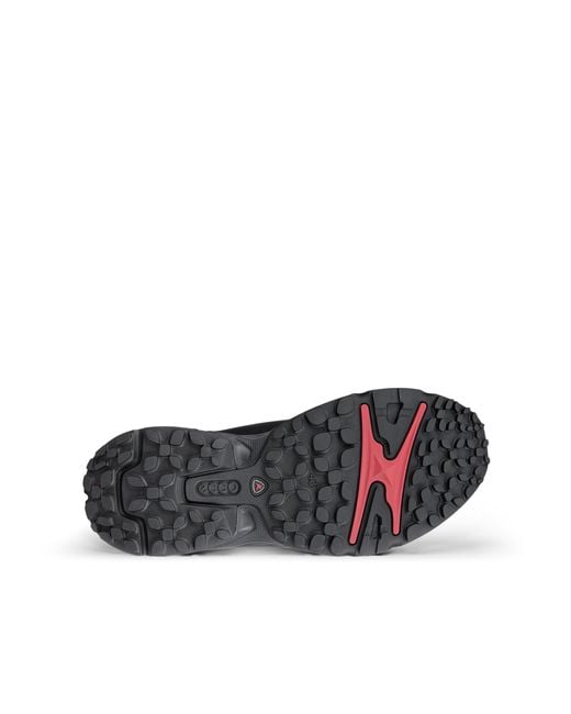 Ecco Black Receptor Xp for men