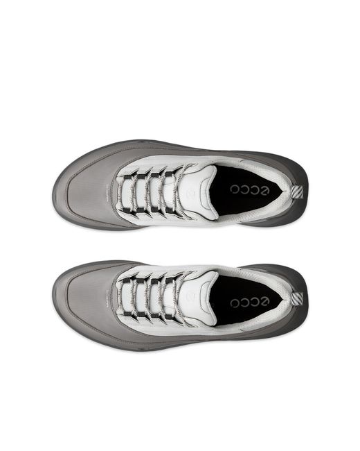 Ecco Gray Biom 720 for men