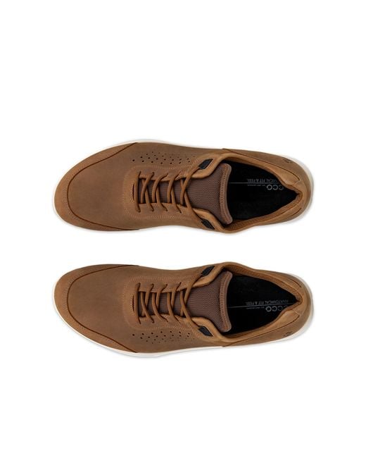 Ecco Exceed in Brown für Herren