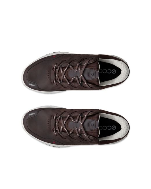 Ecco Brown Receptor Xp for men