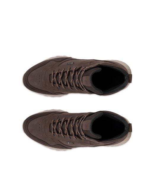 Ecco Exostride in Brown für Herren