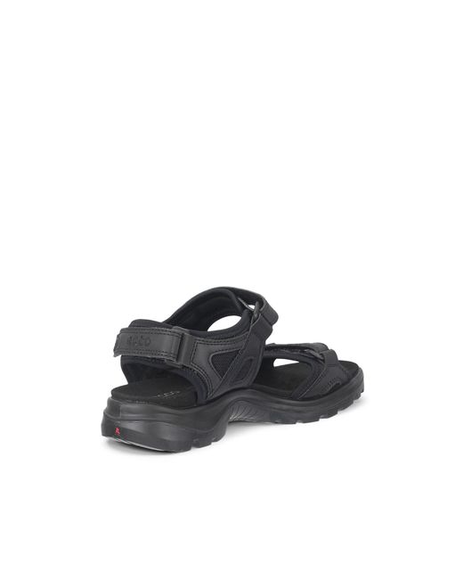 Ecco Black Offroad