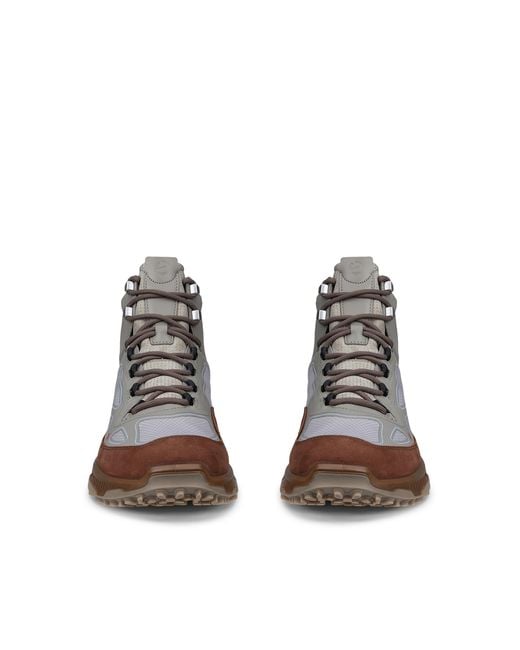 Ecco Receptor Xp in Brown für Herren