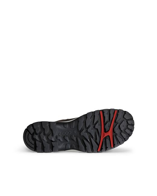 Ecco Black Xpedition Iii for men