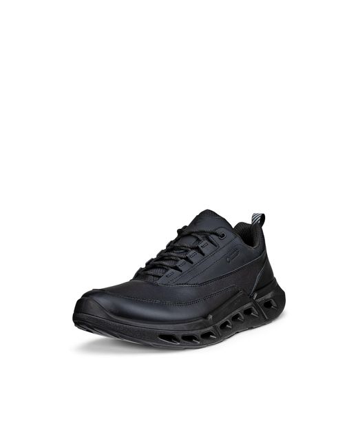 Ecco Blue Biom 720 for men