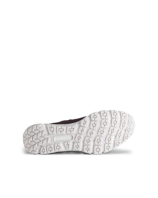 Ecco Purple Multi-Vent