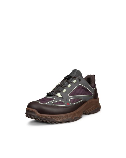 Ecco Receptor Xp in Brown für Herren