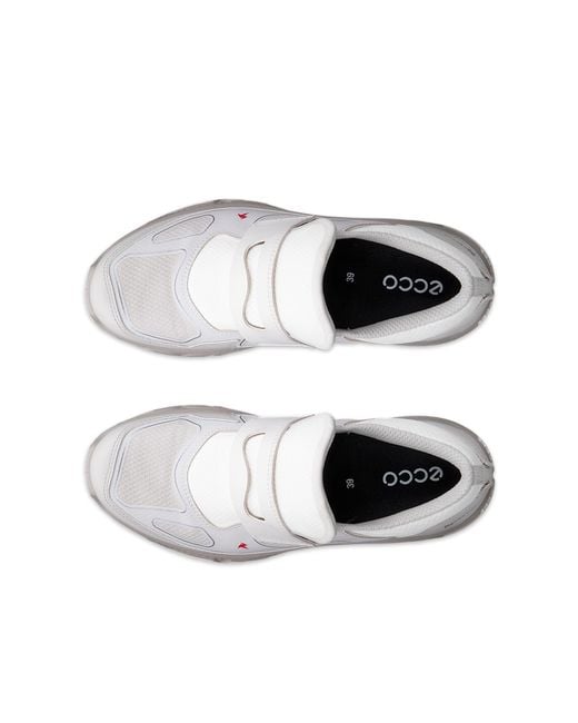 Ecco White Receptor Xp
