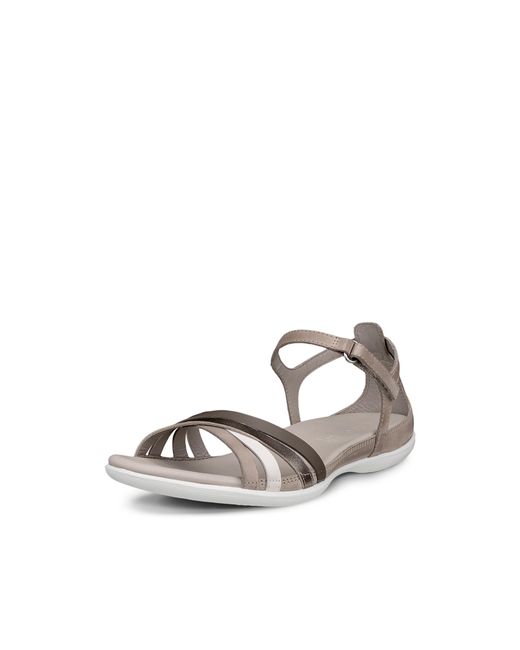 Ecco Gray Flash