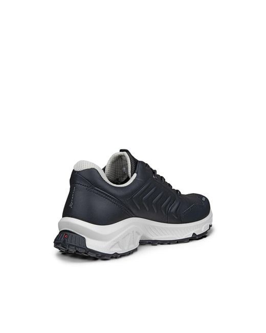 Ecco Blue Receptor Xp