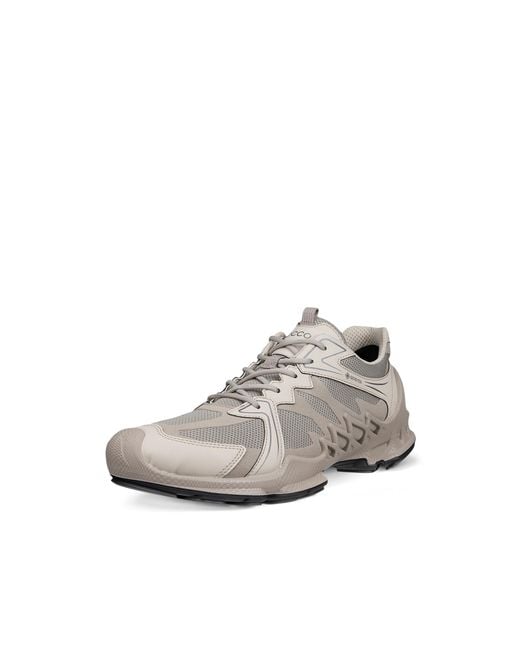 Ecco Gray Biom Aex for men