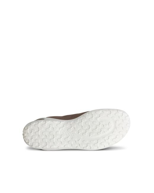 Ecco Brown Biom Lite M Lace for men