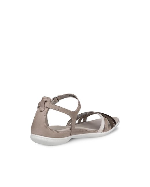 Ecco Gray Flash