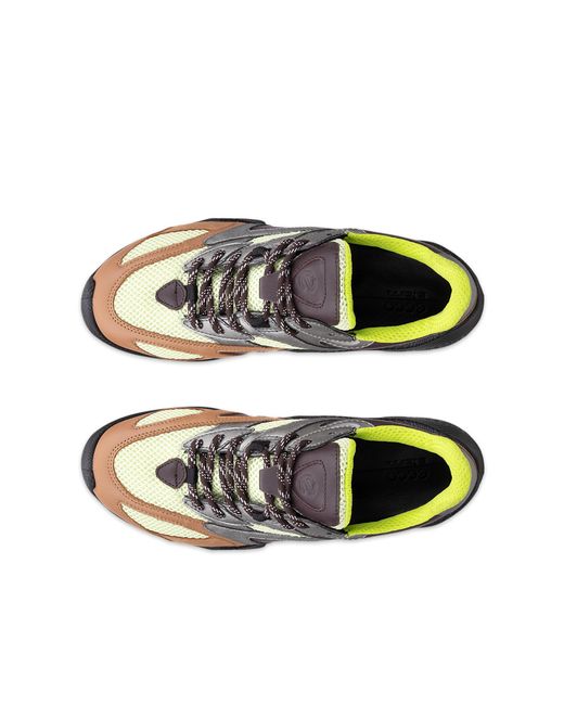 Ecco Blue Biom C-Trail