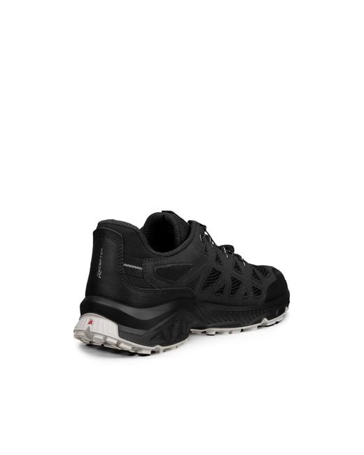 Ecco Black Receptor Xp