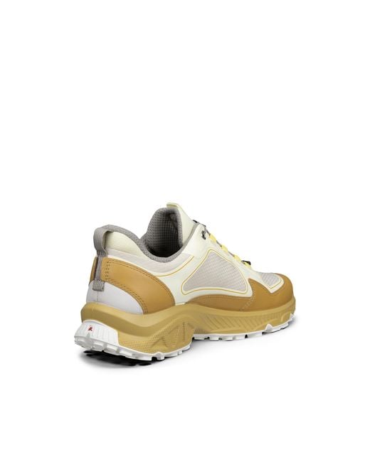Ecco Metallic Receptor Xp