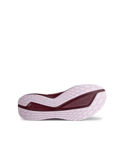 Ecco Purple Biom 2.2