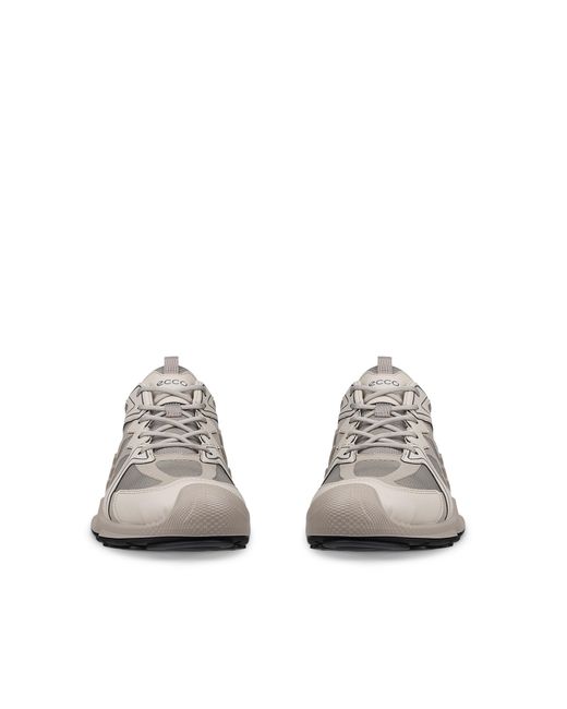 Ecco Gray Biom Aex for men