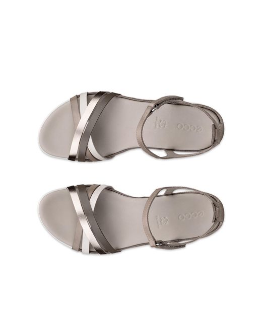 Ecco Gray Flash