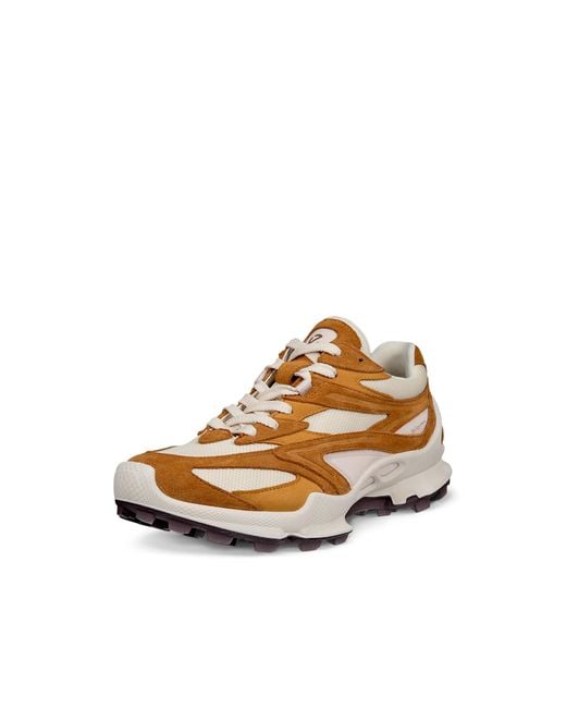 Ecco Brown Biom C-Trail