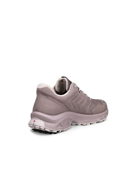 Ecco Brown Receptor Xp