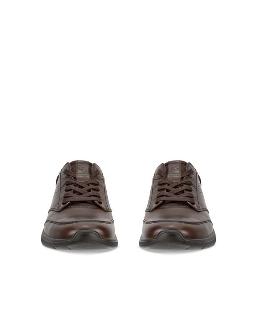 Ecco Brown Irving for men