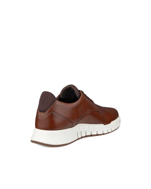 Ecco Brown Gruuv Studio for men
