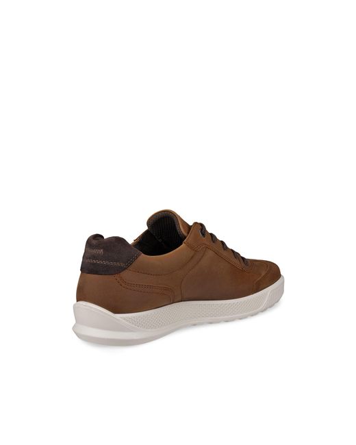 Ecco Brown Byway for men